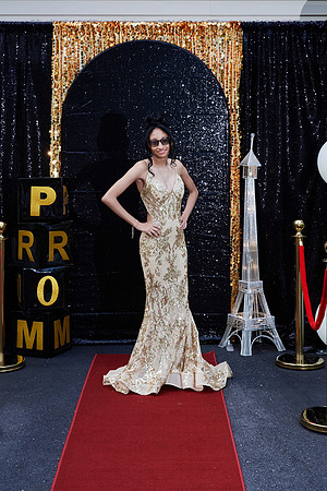 prom049