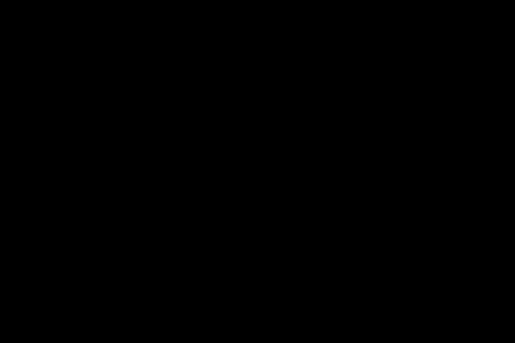 Website Labels3